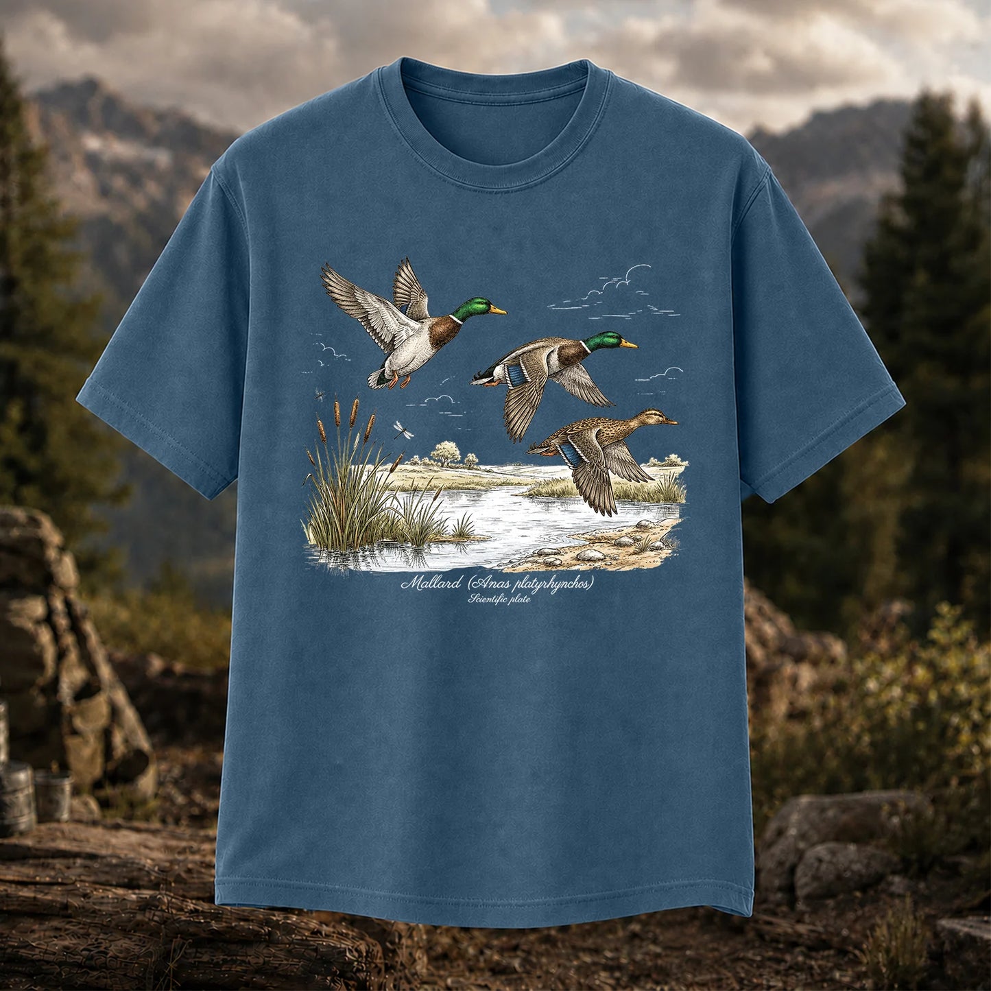 Mallard Anas Platyrhynchos T-Shirt, Vintage Duck Plate