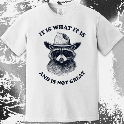 It Is What It Is (And It's Not Great) Raccoon Cowboy Shirt, funny meme tee gift (view 13)