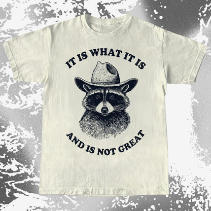 It Is What It Is (And It's Not Great) Raccoon Cowboy Shirt, funny meme tee gift (view 4)