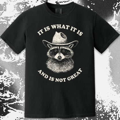 It Is What It Is (And It's Not Great) Raccoon Cowboy Shirt, funny meme tee gift (view 14)