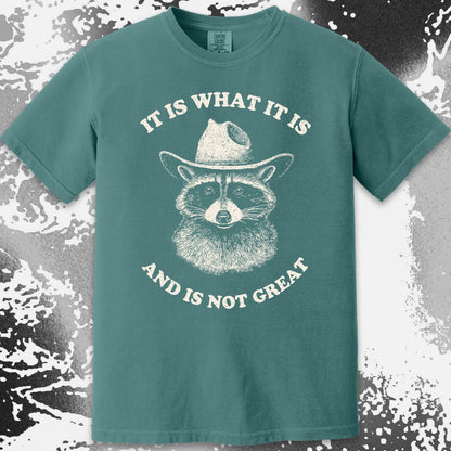 It Is What It Is (And It's Not Great) Raccoon Cowboy Shirt, funny meme tee gift (view 15)