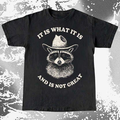 It Is What It Is (And It's Not Great) Raccoon Cowboy Shirt, funny meme tee gift (view 5)