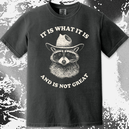 It Is What It Is (And It's Not Great) Raccoon Cowboy Shirt, funny meme tee gift (view 17)