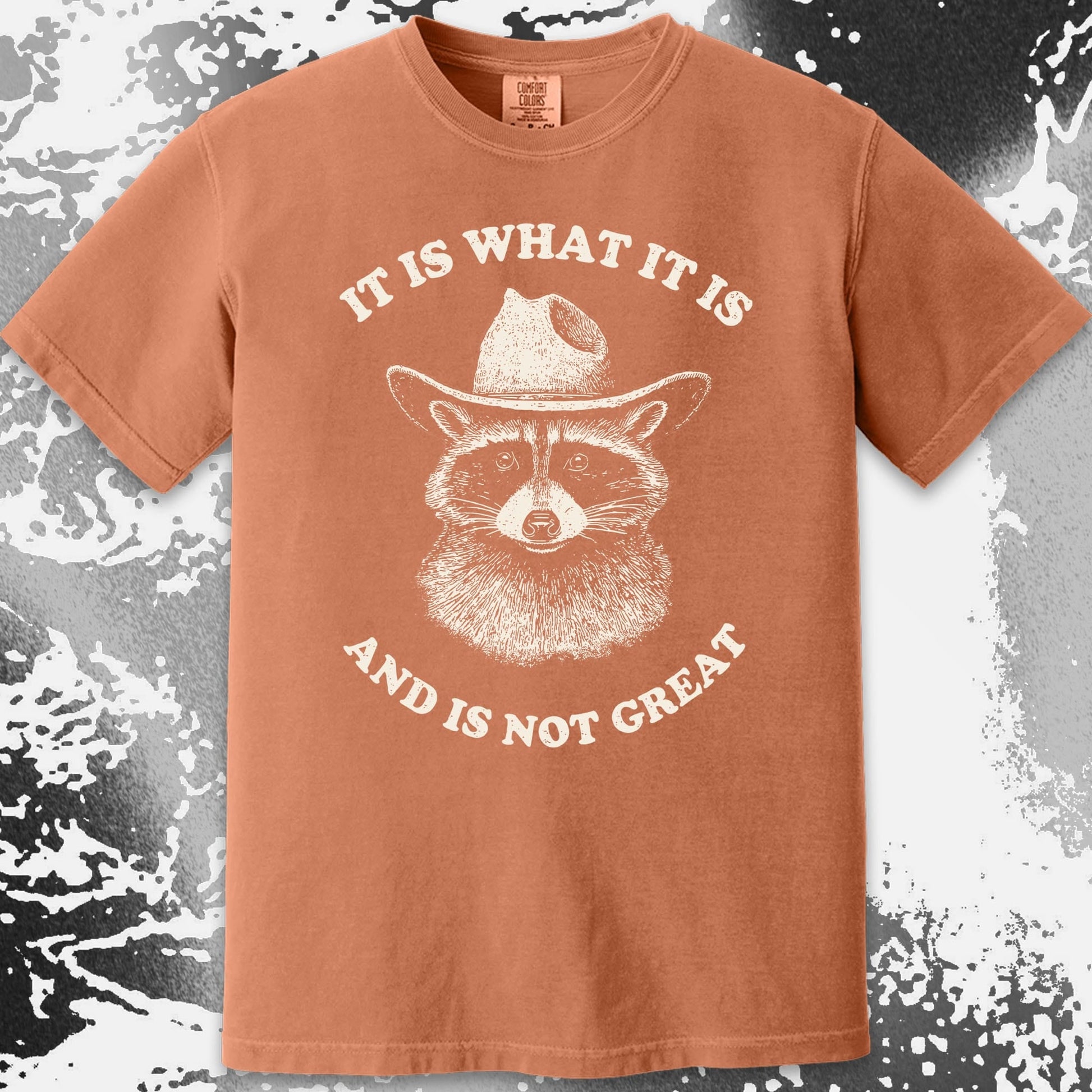 It Is What It Is (And It's Not Great) Raccoon Cowboy Shirt, funny meme tee gift (view 11)