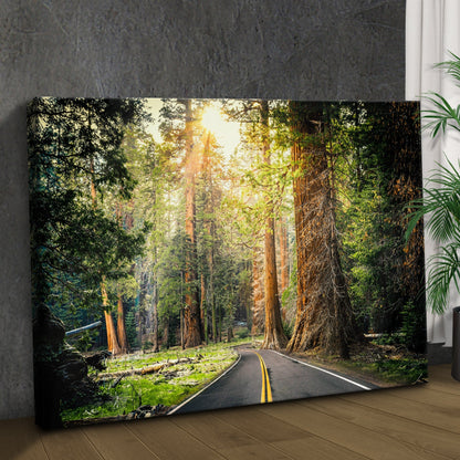 Sequoia Tree Lane Canvas Wall Art