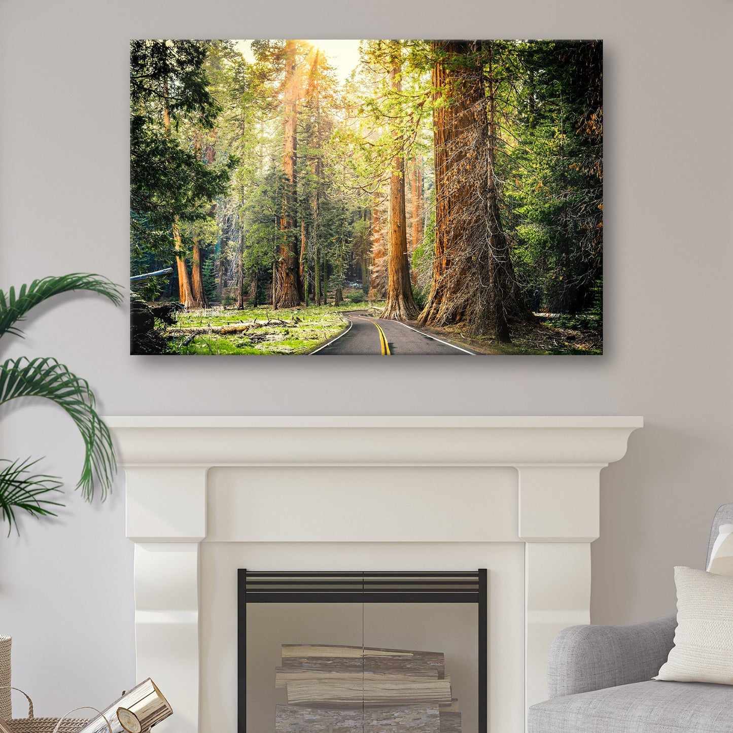 Sequoia Tree Lane Canvas Wall Art