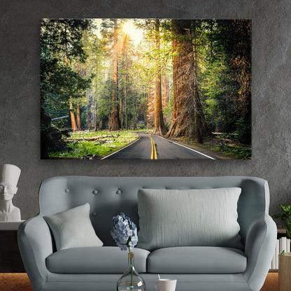 Sequoia Tree Lane Canvas Wall Art