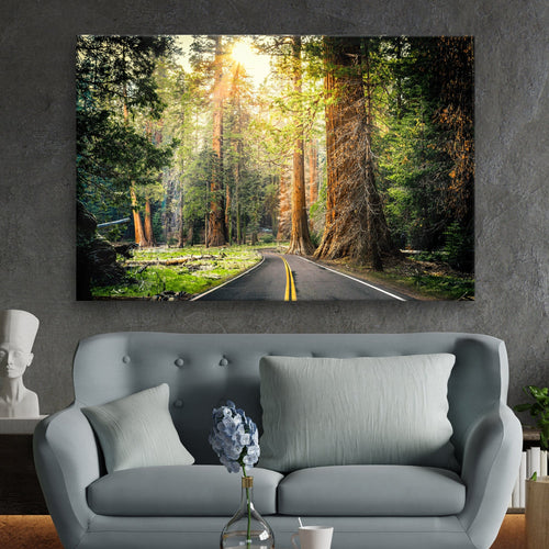 Sequoia Tree Lane Canvas Wall Art