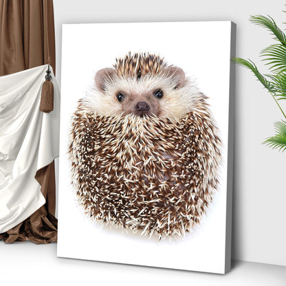 Animals Forest Hedgehog Curled Up Canvas Wall Art