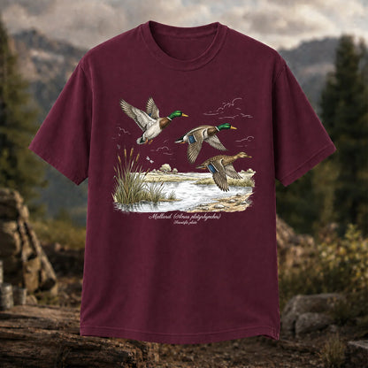 Mallard Anas Platyrhynchos T-Shirt, Vintage Duck Plate