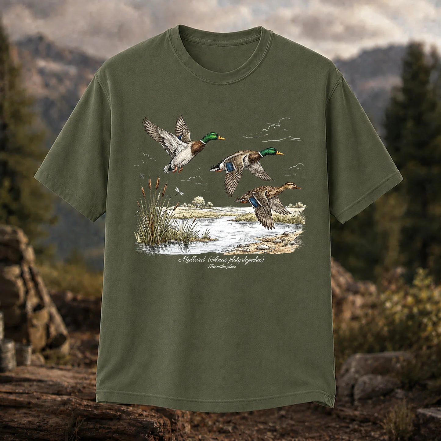 Mallard Anas Platyrhynchos T-Shirt, Vintage Duck Plate