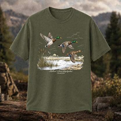 Mallard Anas Platyrhynchos T-Shirt, Vintage Duck Plate