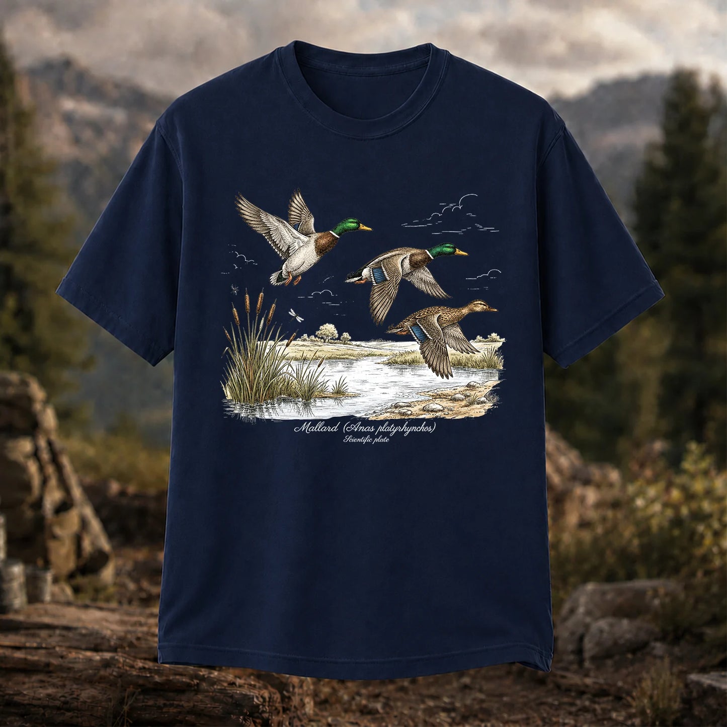 Mallard Anas Platyrhynchos T-Shirt, Vintage Duck Plate