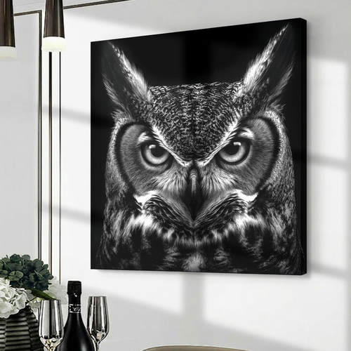 Noir Owl - 23"x23" - canvas