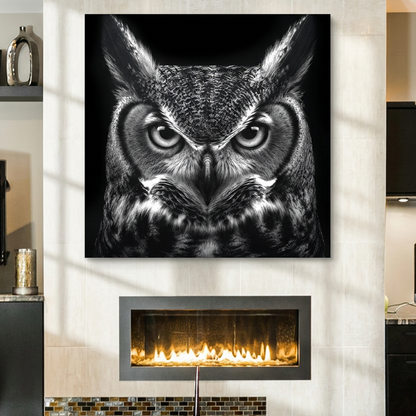Noir Owl - 30"x30" - canvas