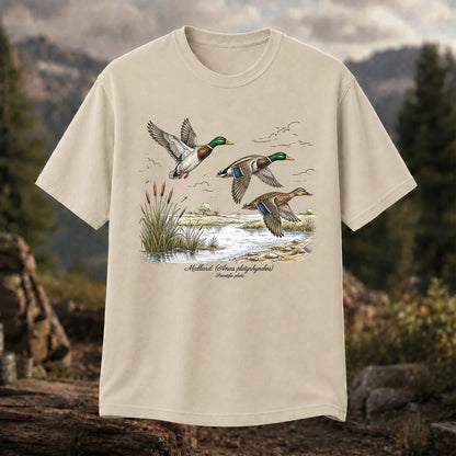 Mallard Anas Platyrhynchos T-Shirt, Vintage Duck Plate