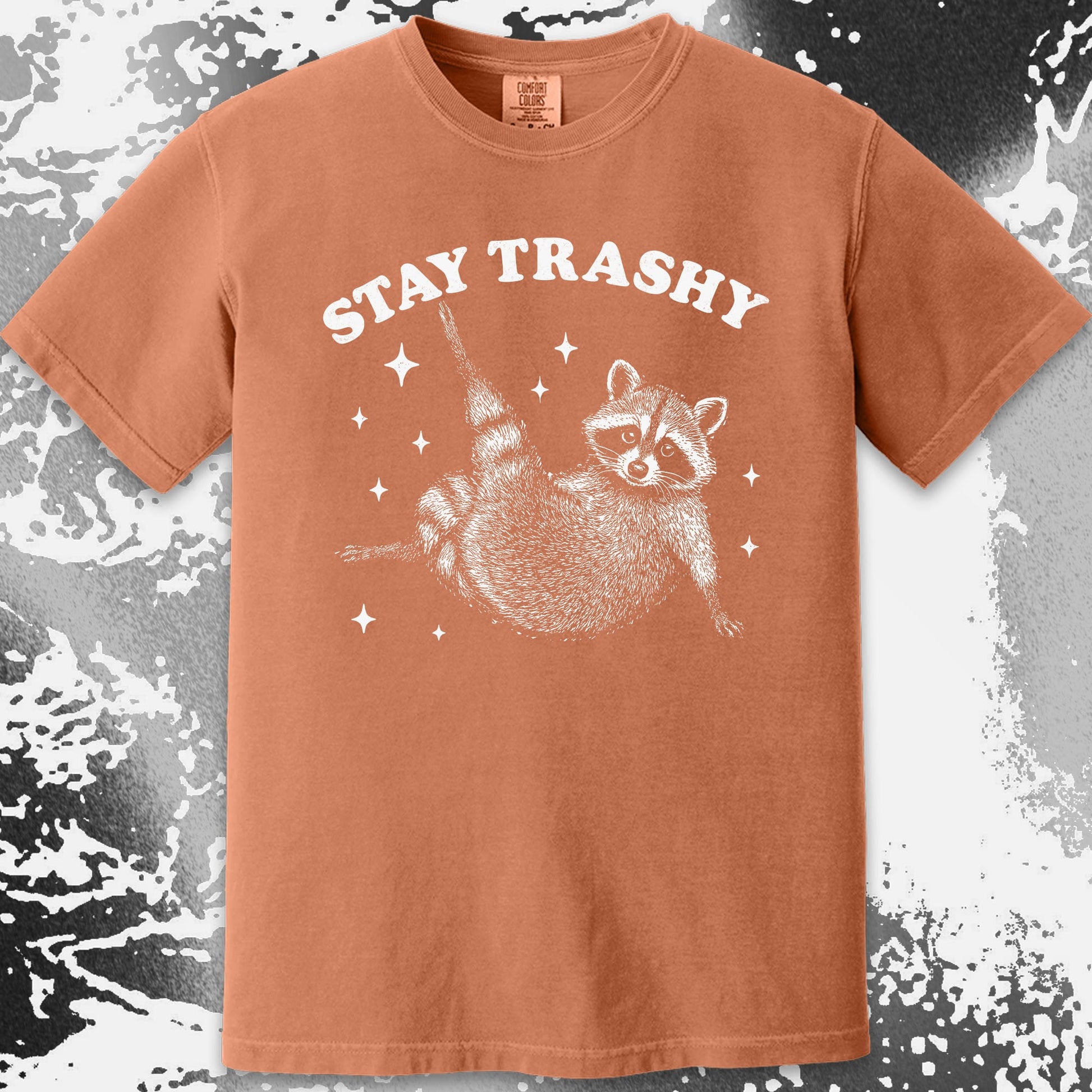 Funny Raccoon Stay Trashy Cute Trash Panda Shirt, funny meme tee gift (view 9)