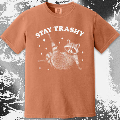 Funny Raccoon Stay Trashy Cute Trash Panda Shirt, funny meme tee gift (view 9)