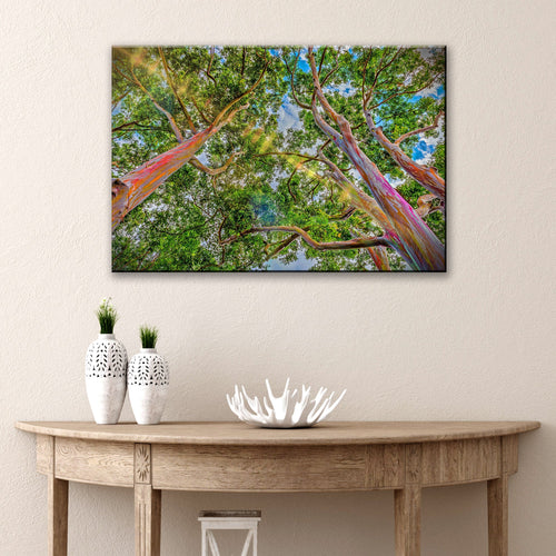 Rainbow Eucalyptus Tree Canvas Wall Art