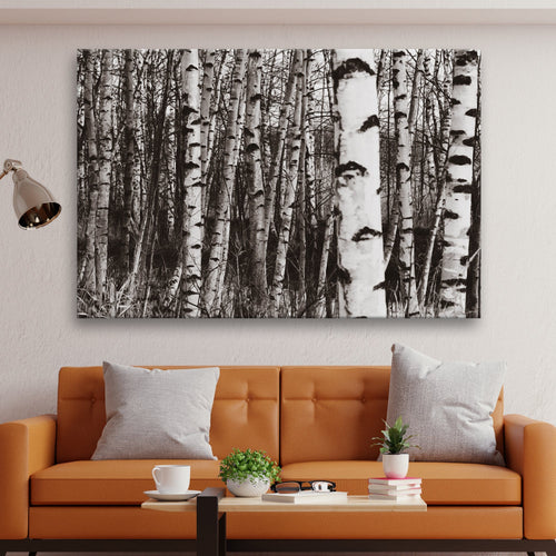 Grayscale Birch Tree Trunks Canvas Wall Art