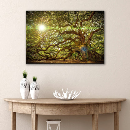 Angel Oak Tree Canvas Wall Art