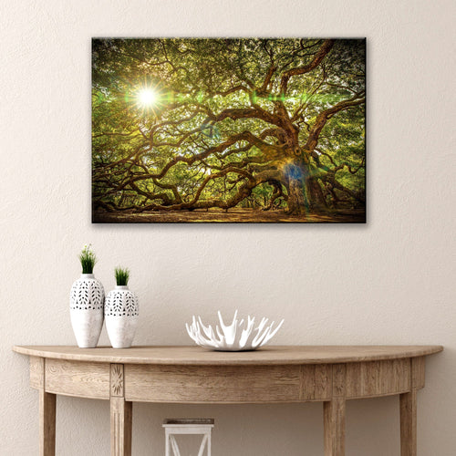 Angel Oak Tree Canvas Wall Art