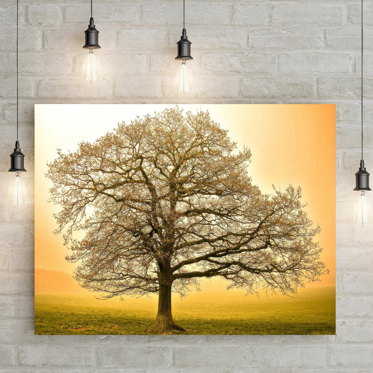 Golden Oak Tree Canvas Wall Art