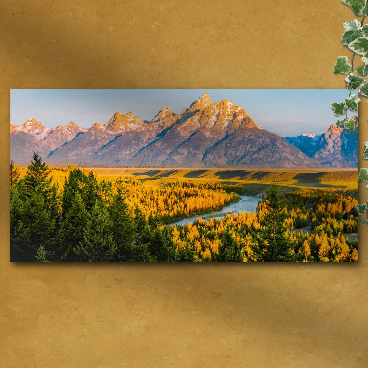 Grand Teton Aspen Trees Canvas Wall Art