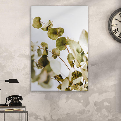 Dried Eucalyptus Canvas Wall Art