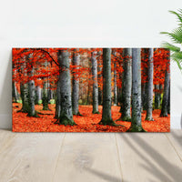Red Beech Trees Canvas Wall Art