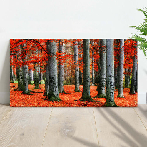 Red Beech Trees Canvas Wall Art