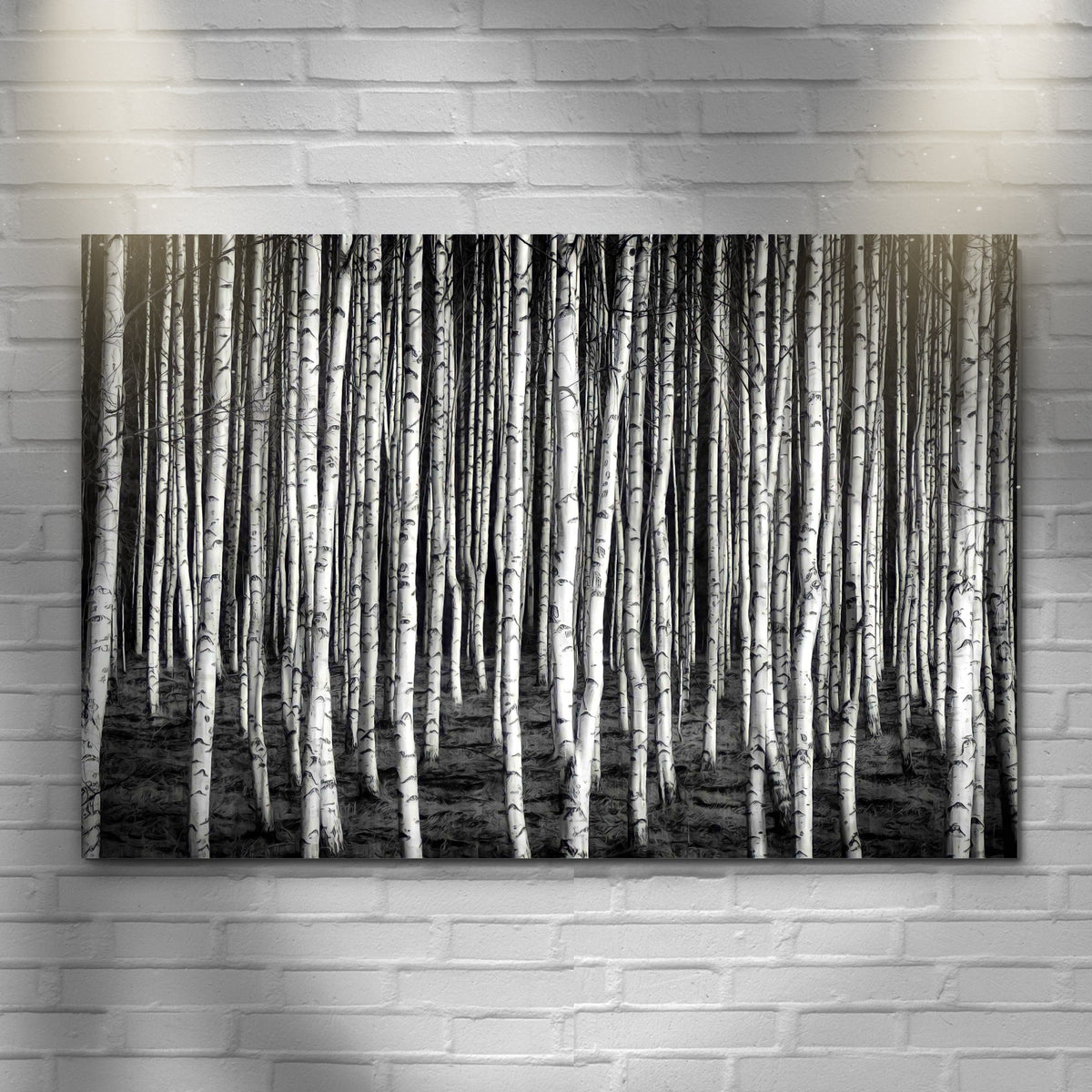 Monochrome Birch Trees Canvas Wall Art