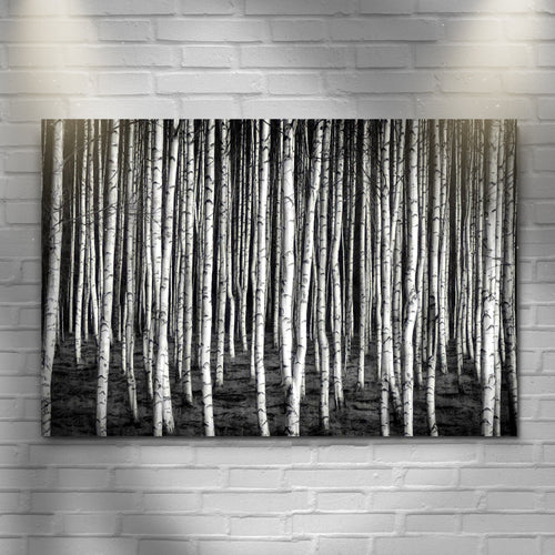 Monochrome Birch Trees Canvas Wall Art
