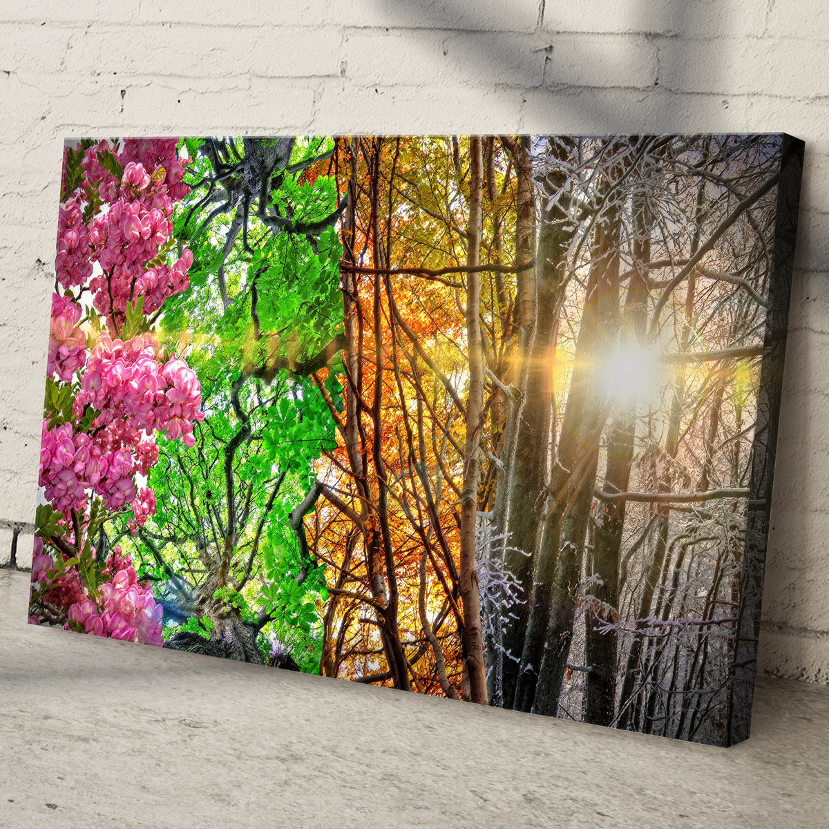 Trees Four Seasons Canvas Wall Art