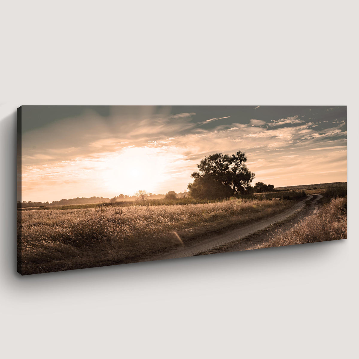 Olive Tree At Dusk Canvas Wall Art ()