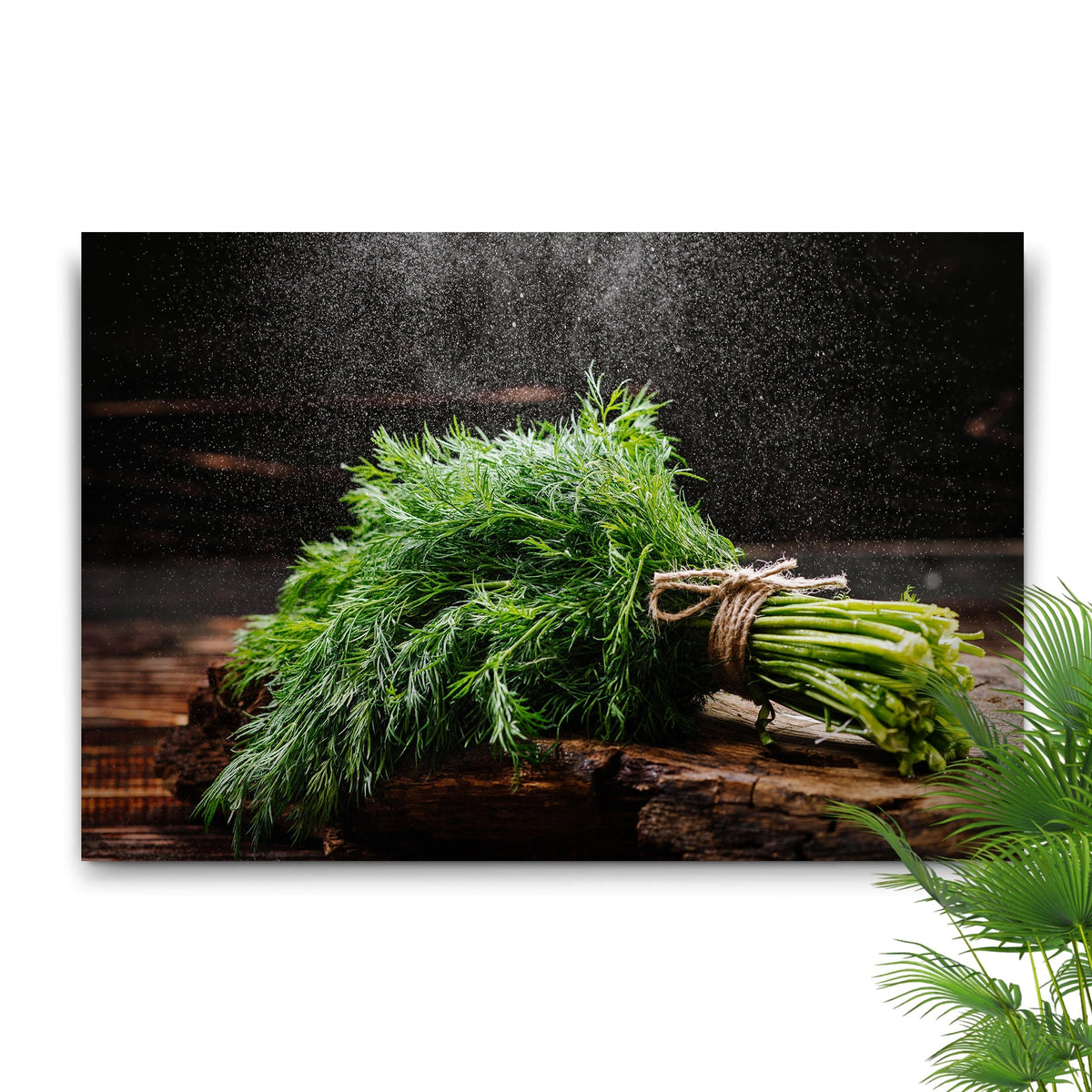 Plant Herb Fresh Dill Bunch Canvas Wall Art