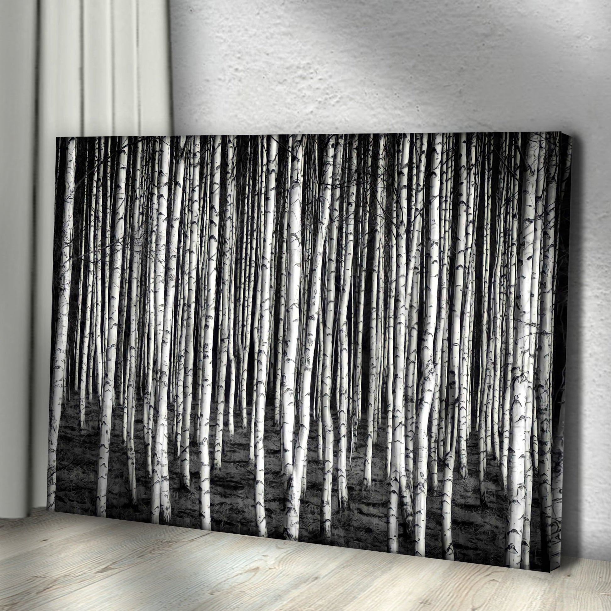 Monochrome Birch Trees Canvas Wall Art