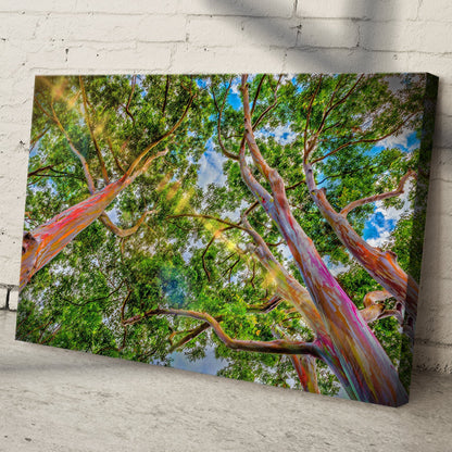 Rainbow Eucalyptus Tree Canvas Wall Art