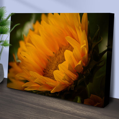 Last Of The Sunflowers Canvas Wall Art
