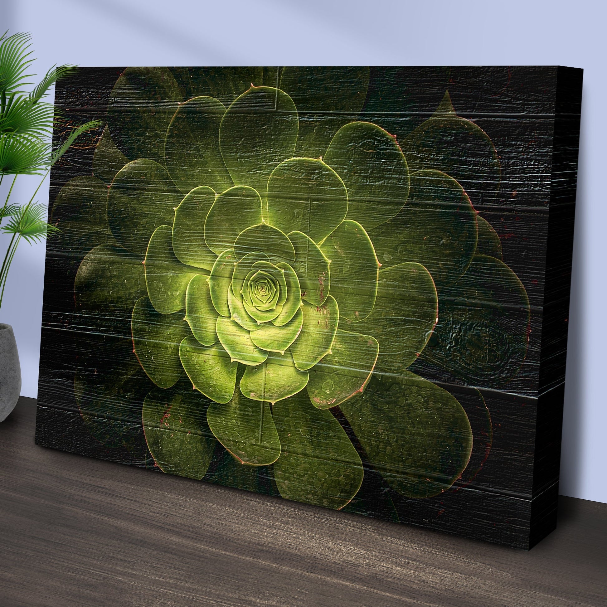Succulent In Macro Lens Canvas Wall Art