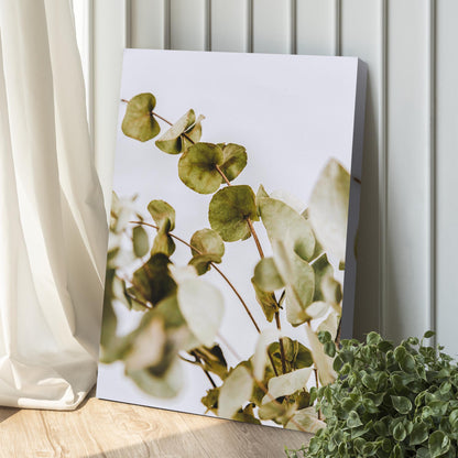 Dried Eucalyptus Canvas Wall Art