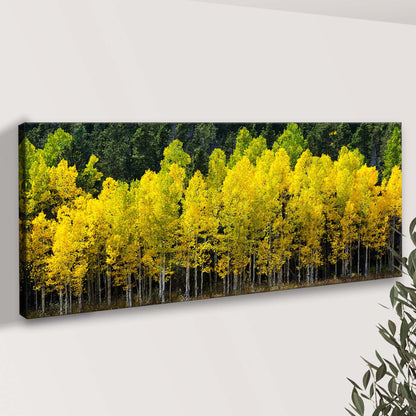 Colorado Aspen Grove Canvas Wall Art