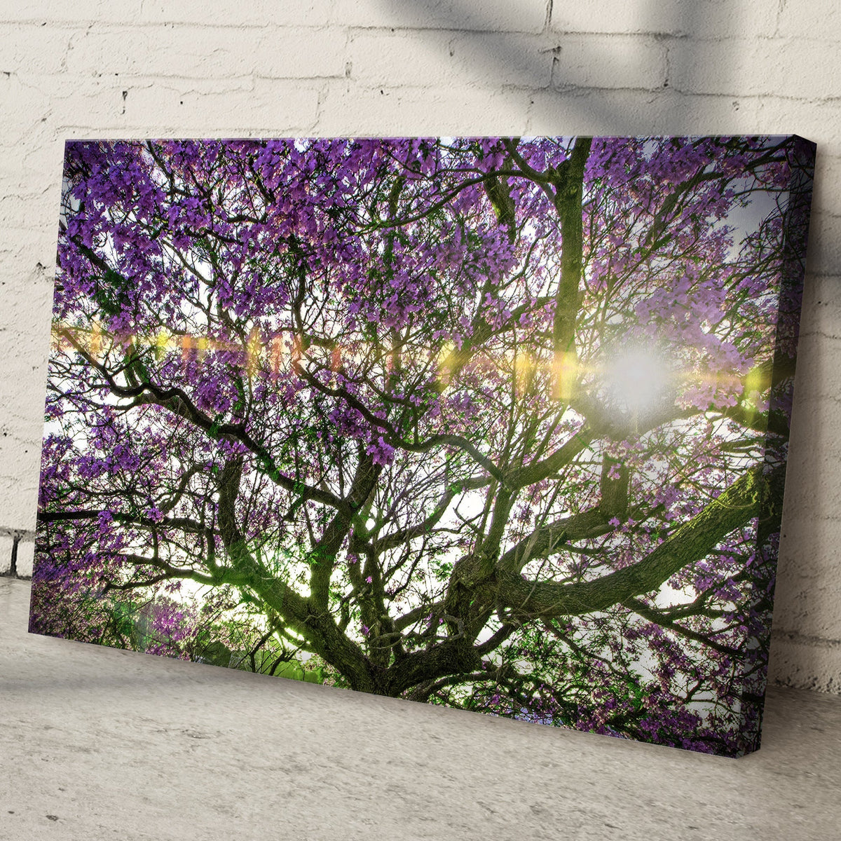 Blue Jacaranda Trees Canvas Wall Art