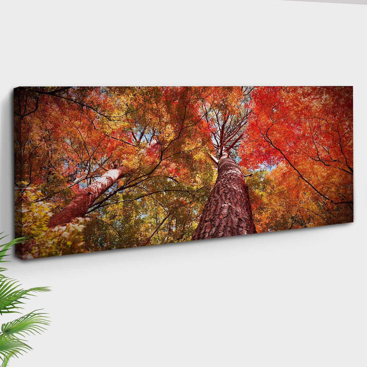 Under The Maple Trees On A Beautiful Morning Canvas Wall Art