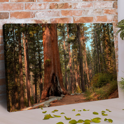 Sequoia Trees Canvas Wall Art