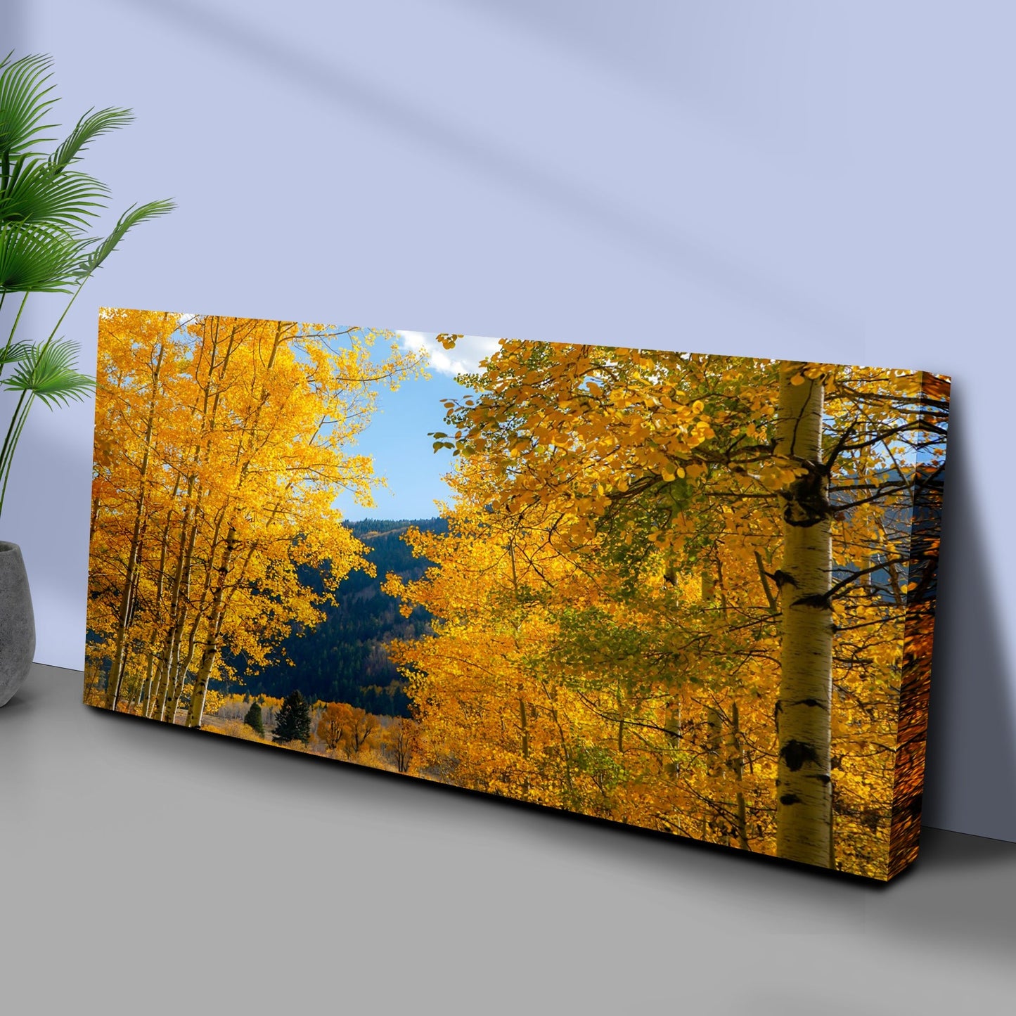 Colorado Aspen Forest Canvas Wall Art