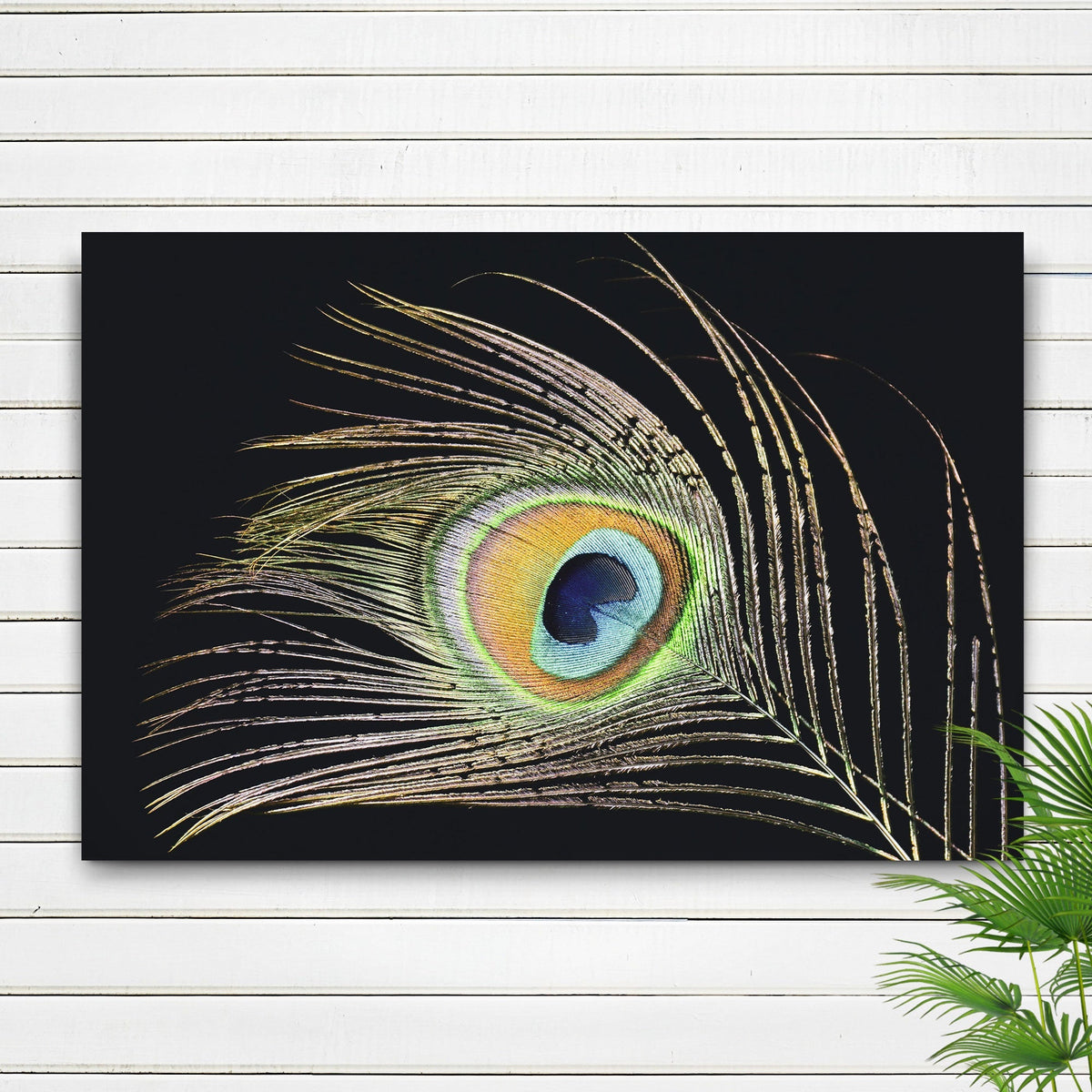 Decor Elements Feather Peacock Canvas Wall Art