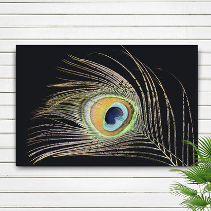 Decor Elements Feather Peacock Canvas Wall Art