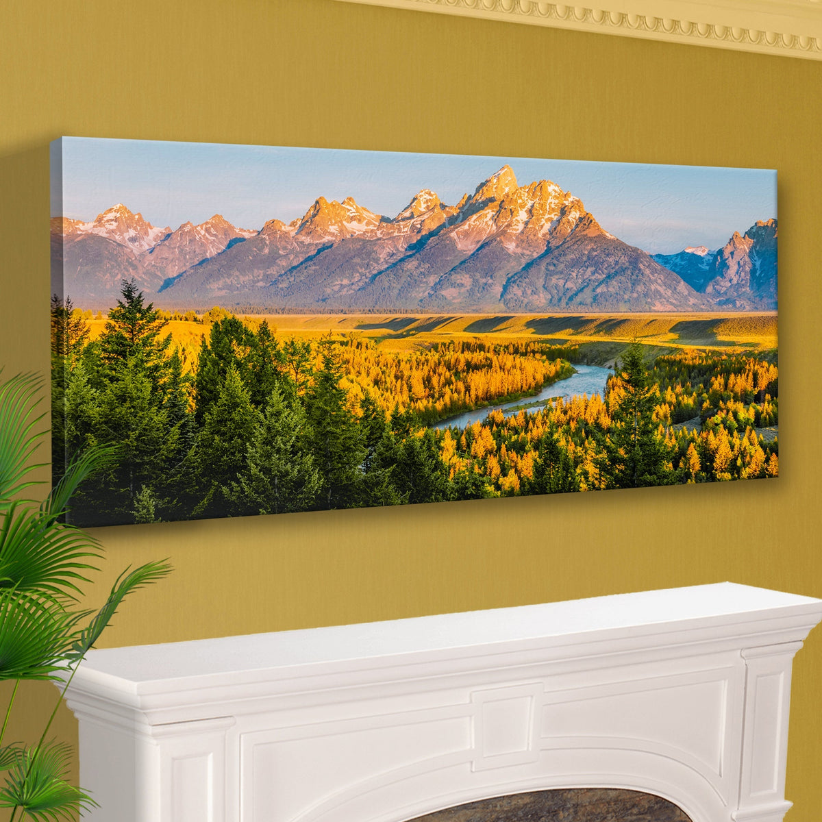 Grand Teton Aspen Trees Canvas Wall Art