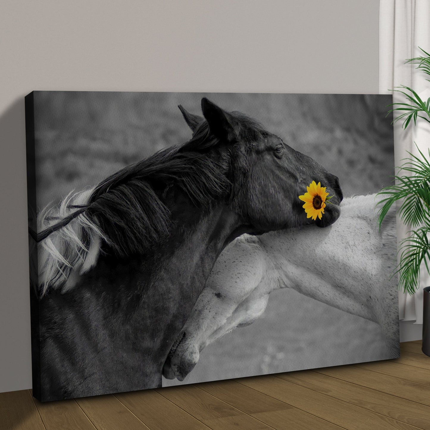 Sweet Black And White Horses Canvas Wall Art